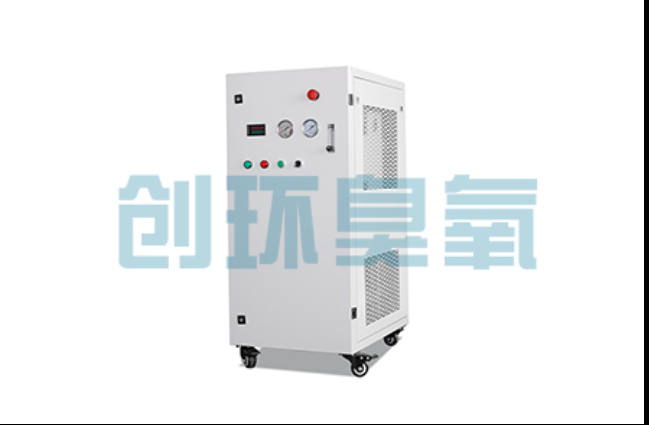 广元工厂化养鲈必看：2026年臭氧发生器替代传统消毒的最新方案