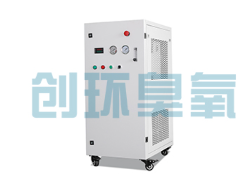 广元石斑鱼养殖水质调控完整指南：臭氧发生器配置与操作步骤